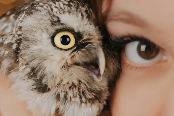 Casino Welcome Bingo Tugi